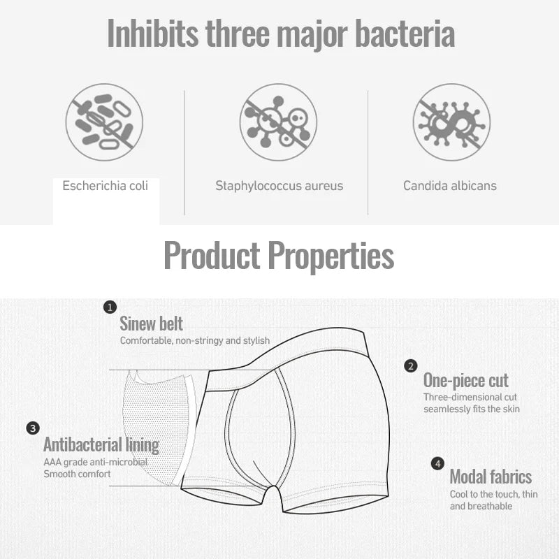 Bóxer para Hombre Transpirable Paquete de 3 o 5