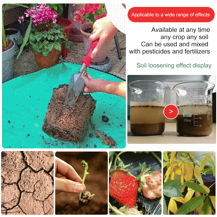 Mejorador de Suelo para Plantas y Jardín