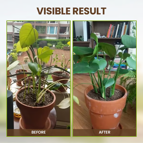 Mejorador de Suelo para Plantas y Jardín