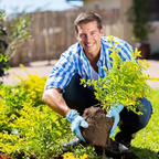 Mejorador de Suelo para Plantas y Jardín