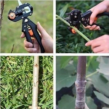 Tijera Injertadora para Árboles Frutales con 3 Cuchillas